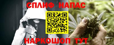 дмт Моздок