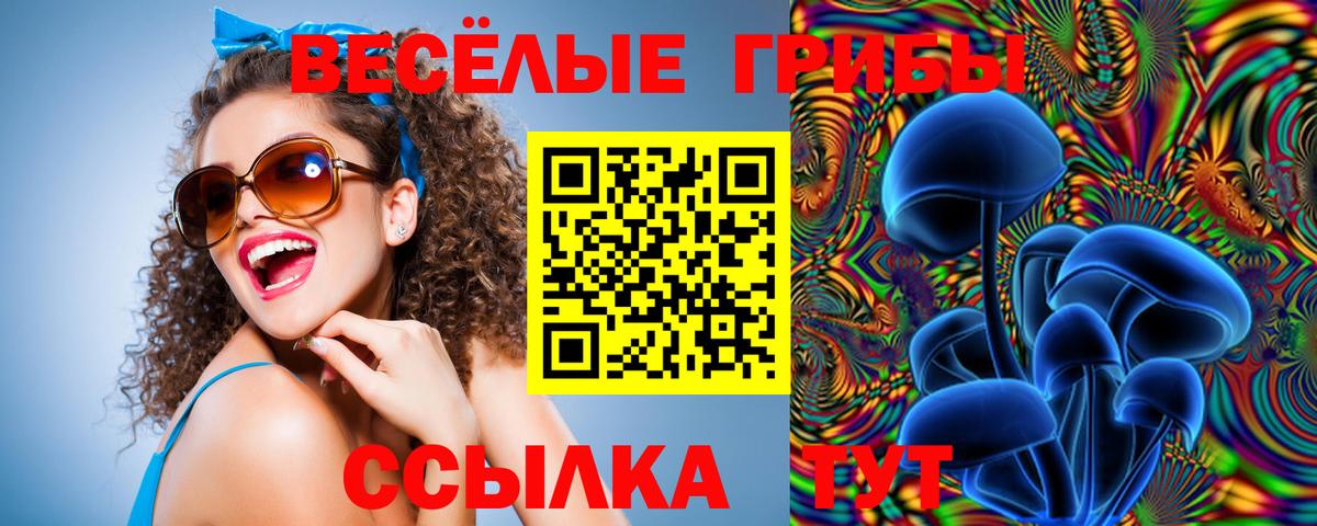 Черняховск  Галлюциногенные грибы Psilocybine cubensis  Псилоцибиновые грибы MAGIC MUSHROOMS  сколько стоит  Вход с VPN 